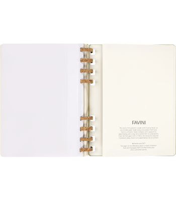 Великий Щотижневик Moleskine 2024 Spiral Ківі