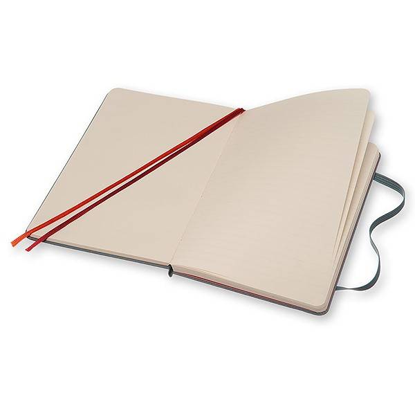 Средний блокнот Moleskine Two-Go Медиум Серый Линия/Чистые листы