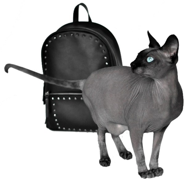 Рюкзак из кожи JIZUZ Pilot Black-R