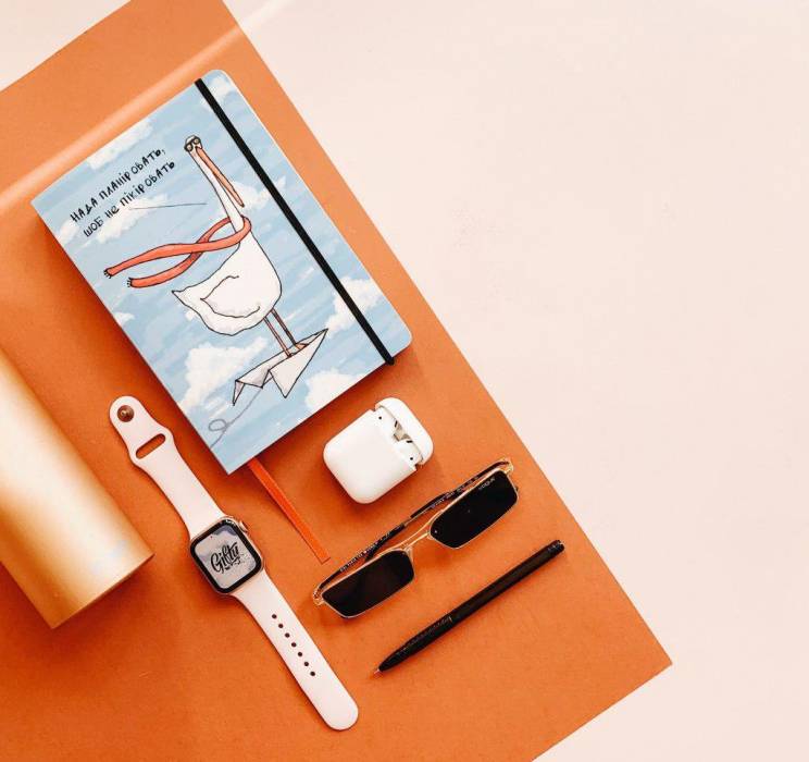 Планер Gifty Гусь Организованный