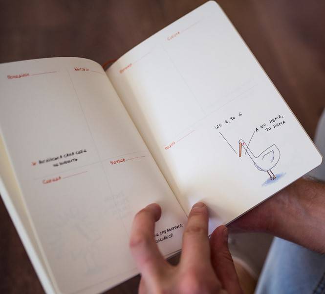 Планер Gifty Гусь Организованный