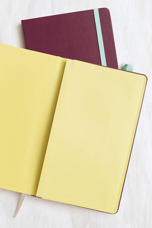 Средний блокнот Moleskine Contrast Сливовый Твердая обложка