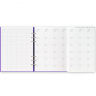 Органайзер Filofax Clipbook A5 Gummy Purple