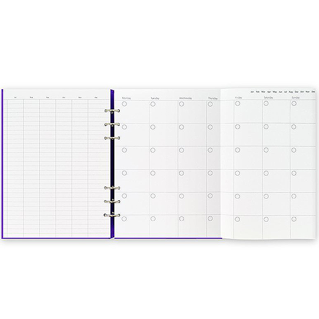 Органайзер Filofax Clipbook A5 Gummy Purple