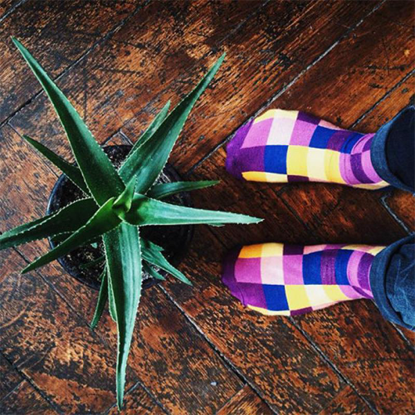 Носки Sammy Icon Squares