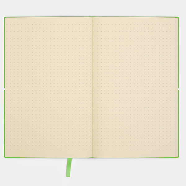 Блокнот Like U Fun A5 Сірий /Салатовий