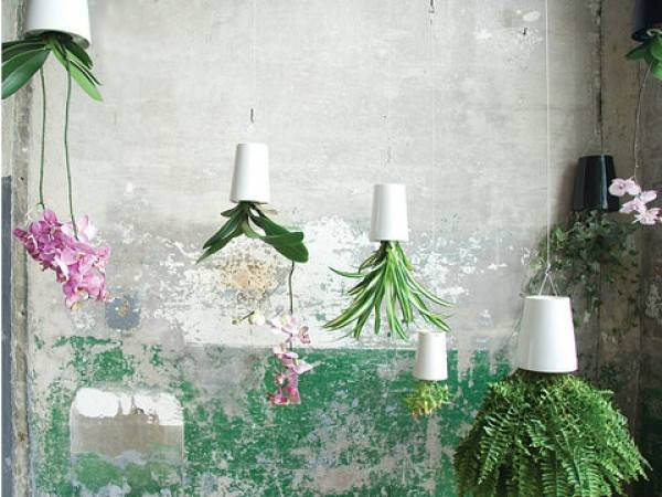 Горшок для цветов Sky Planter 9х13 см Красный Горшок для цветов Sky Planter 9х13 см Красный