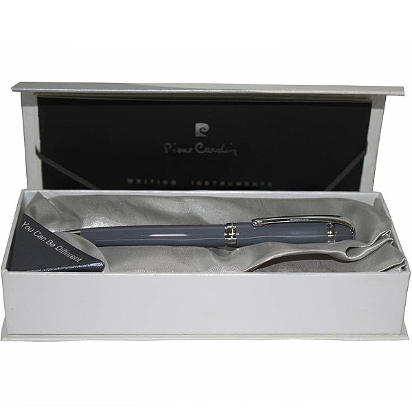 Шариковая ручка Pierre Cardin 4903BP-GY DINO