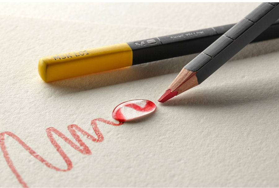 Набор акварельных карандашей Moleskine (12 шт)