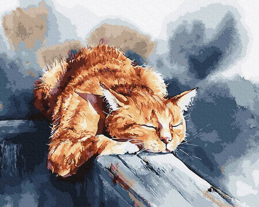 Картина за номерами Сни котика 40x50 см