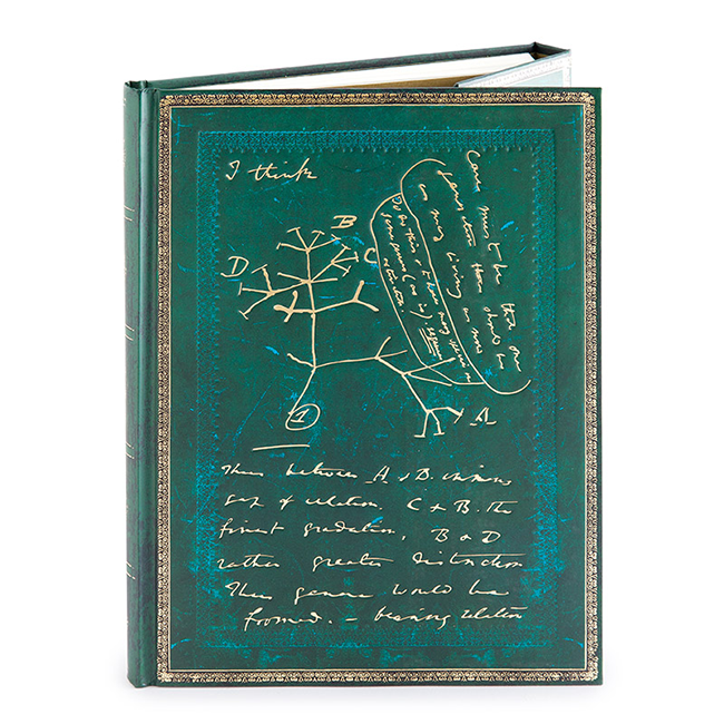 Карманный блокнот Paperblanks Манускрипты Дарвин