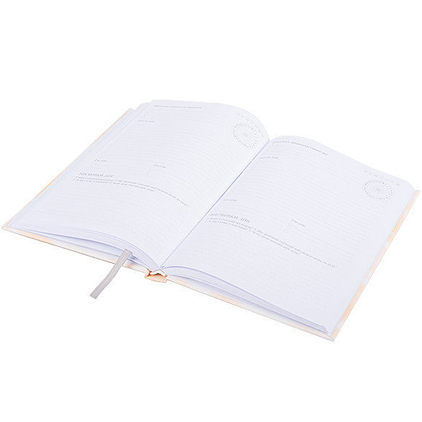 Планер My Perfect Day Professional пастель