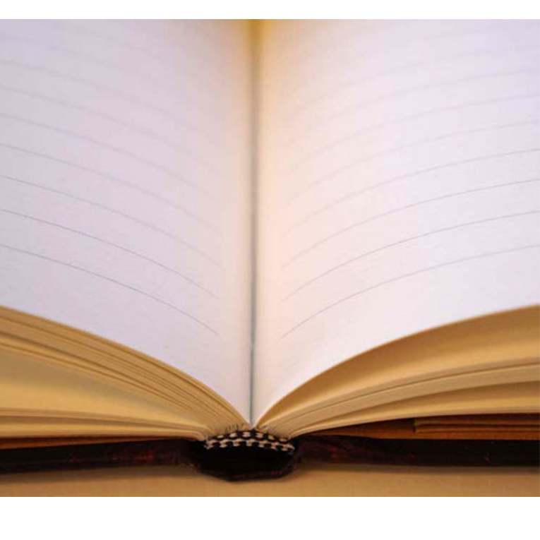 Кишеньковий блокнот Paperblanks Манускрипти Льюїс Керрол Аліса