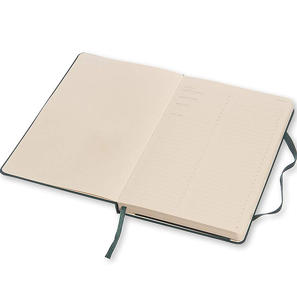 Средний блокнот Moleskine PRO Шалфей