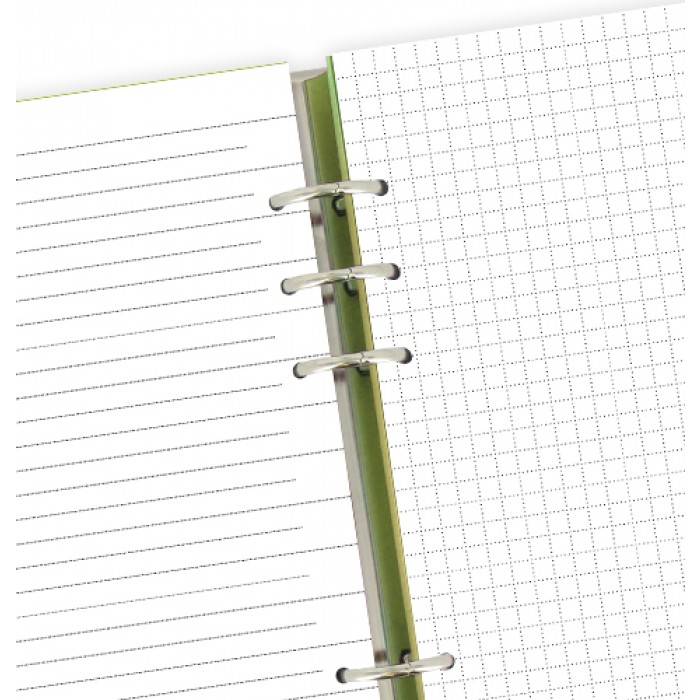 Органайзер Filofax Clipbook A5 Classic Pear