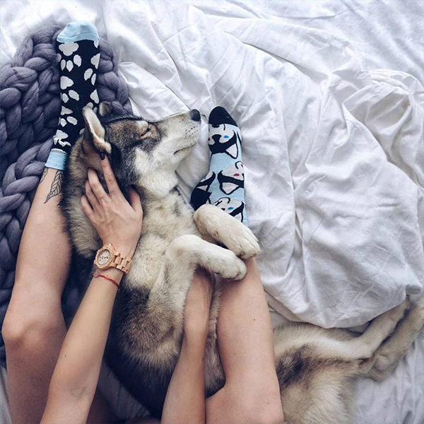 Носки Sammy Icon Balto