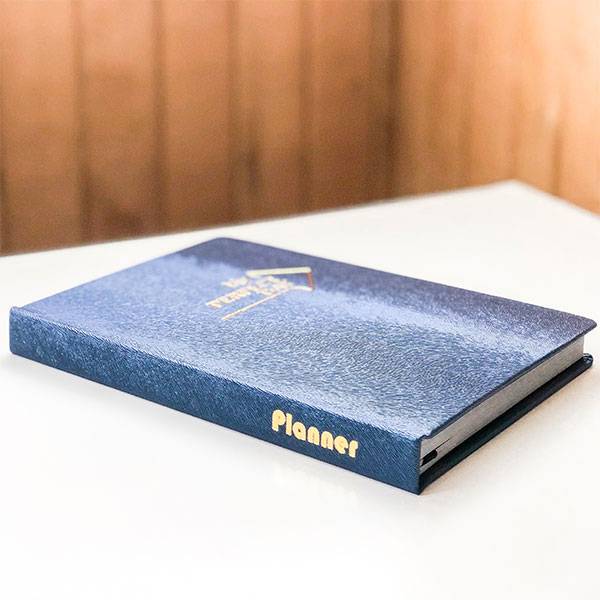 Планер My Perfect Day Professional Синий