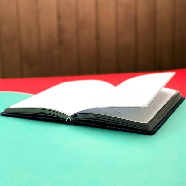 Планер My Perfect Day Professional Синий